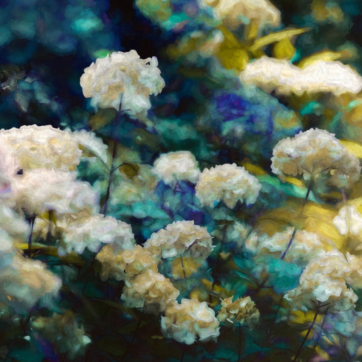 Himmlische Hortensien von Helen White