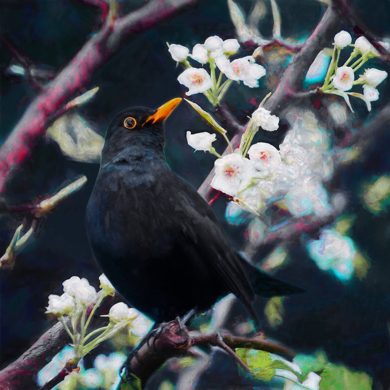 Herr des Sommerliedes, 2019 von Helen White