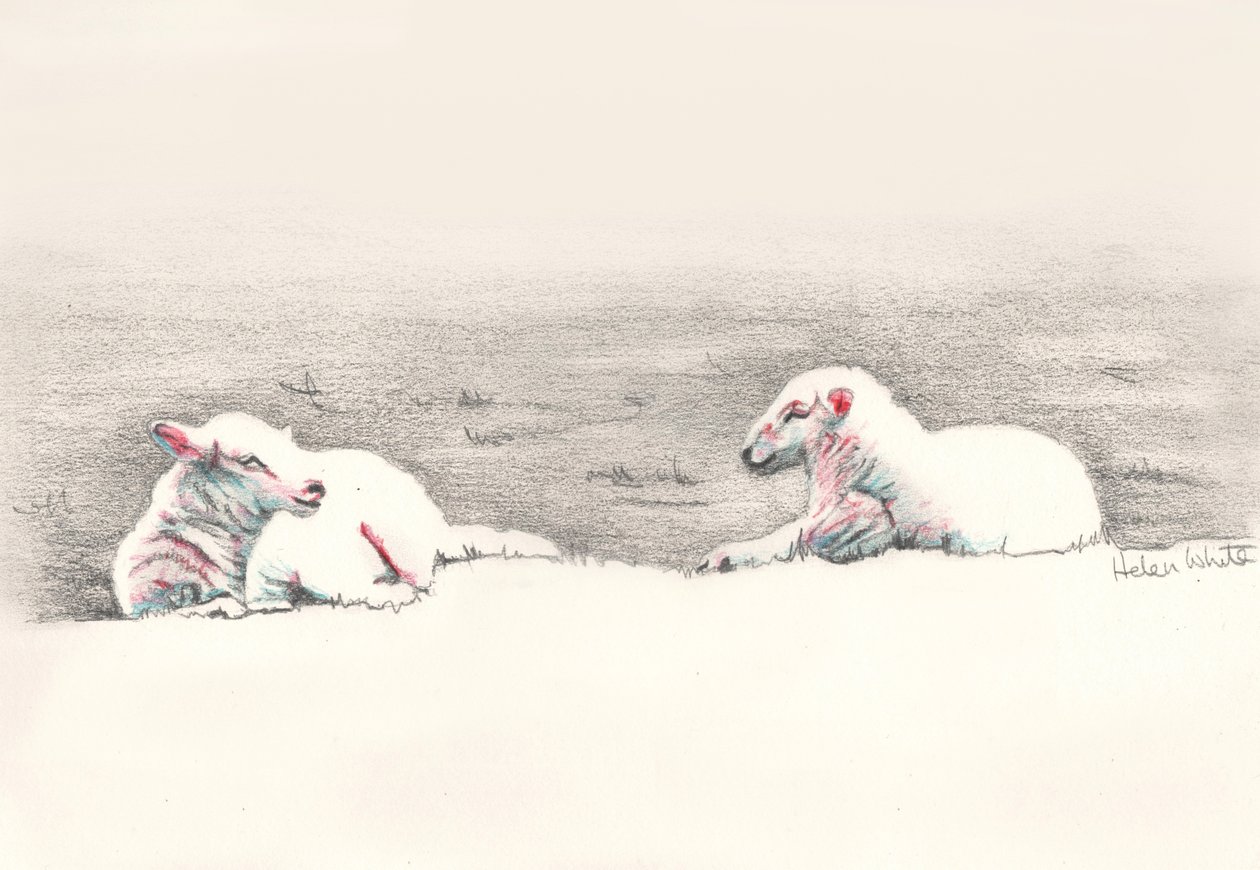 Nickerchen, 2016 von Helen White