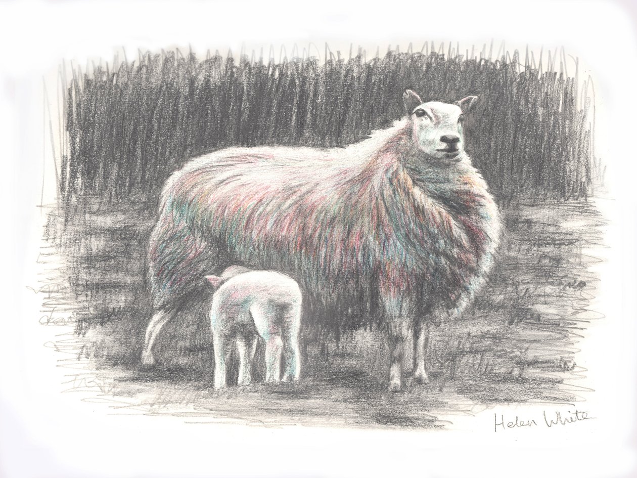 Stolz, 2016 von Helen White