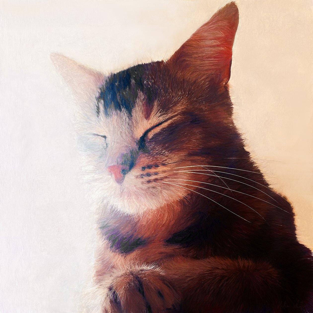 Perfekter Platz von Helen White