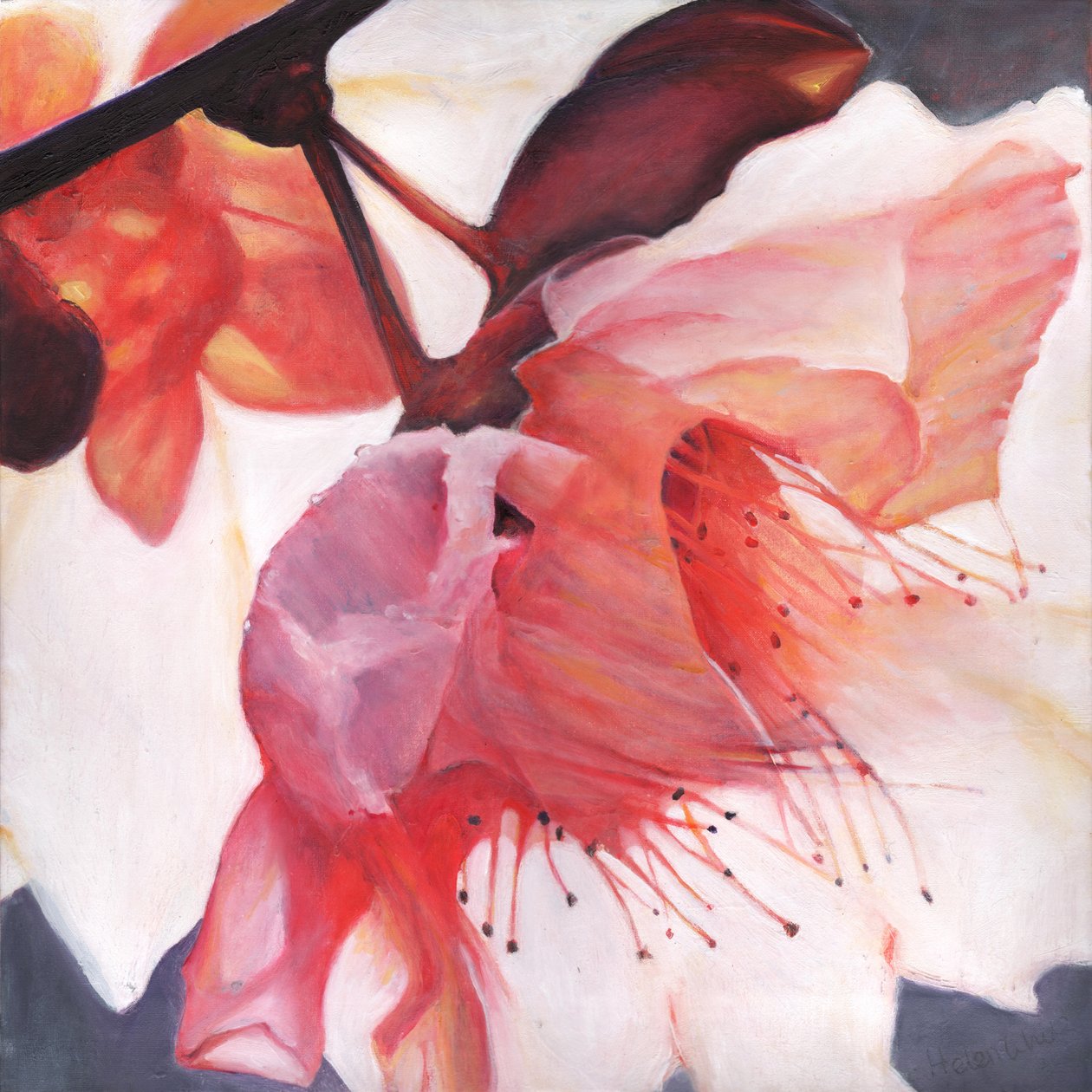 Shakti-Tanz, 2016 von Helen White