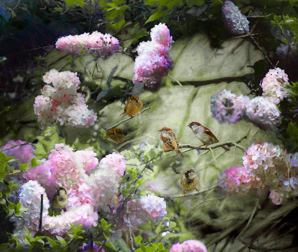 Frühlingssperlinge von Helen White