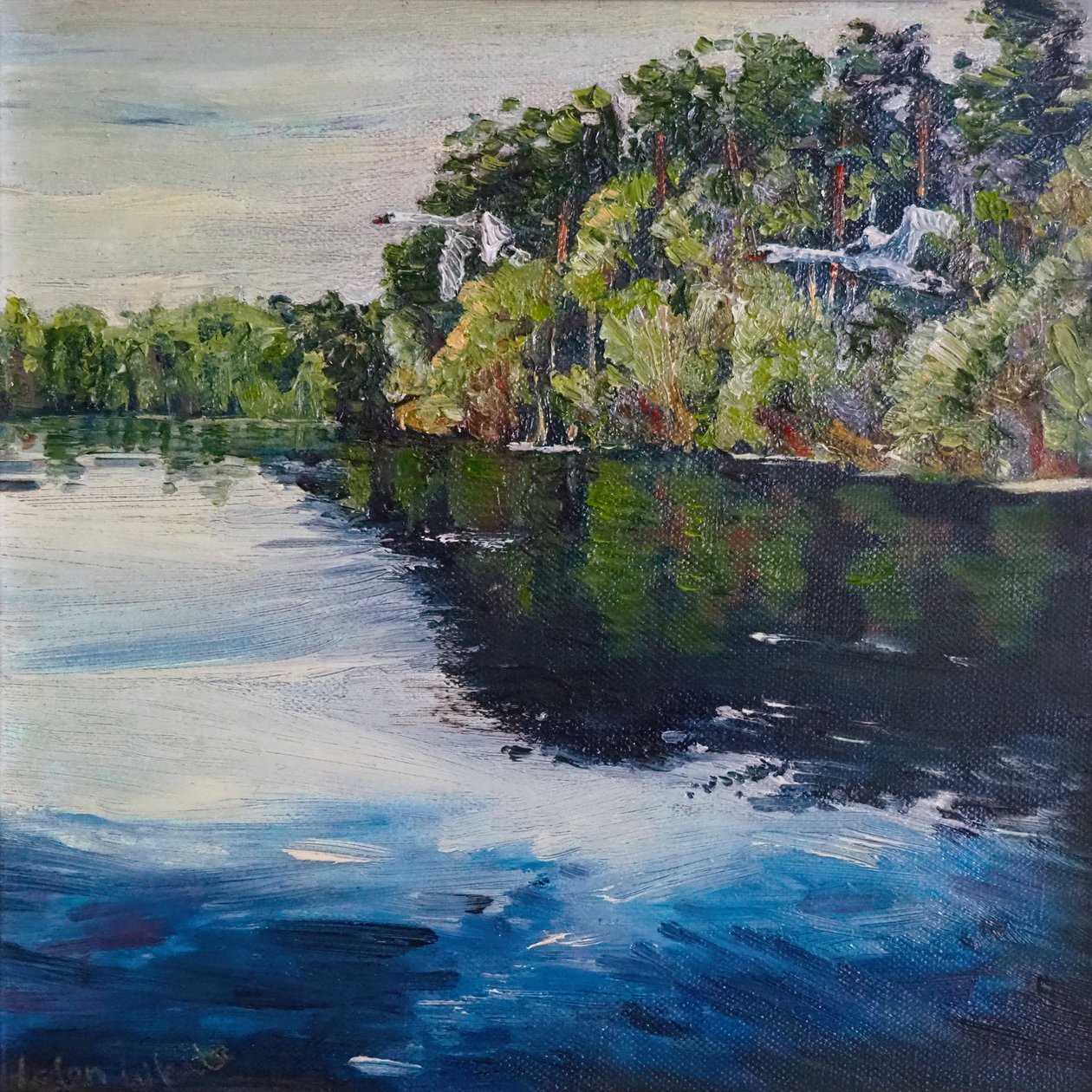Schwanenflug von Helen White