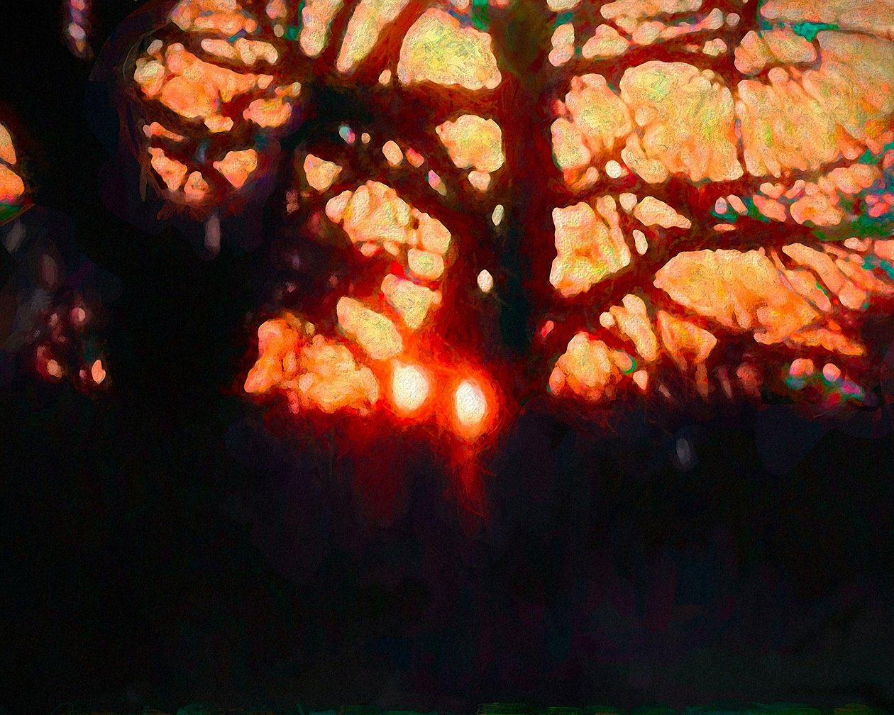 Winterlicht von Helen White