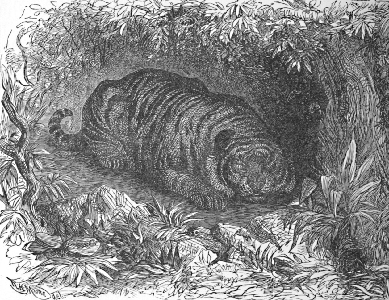 Ein Nickerchen nach dem Abendessen, um 1900 von Helena J. Maguire