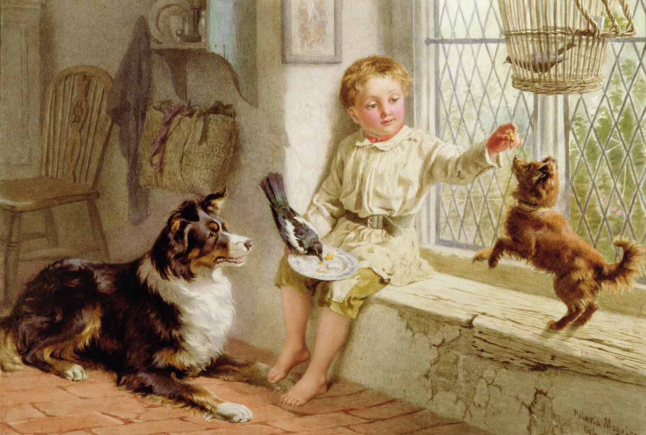 Freunde von Helena J. Maguire