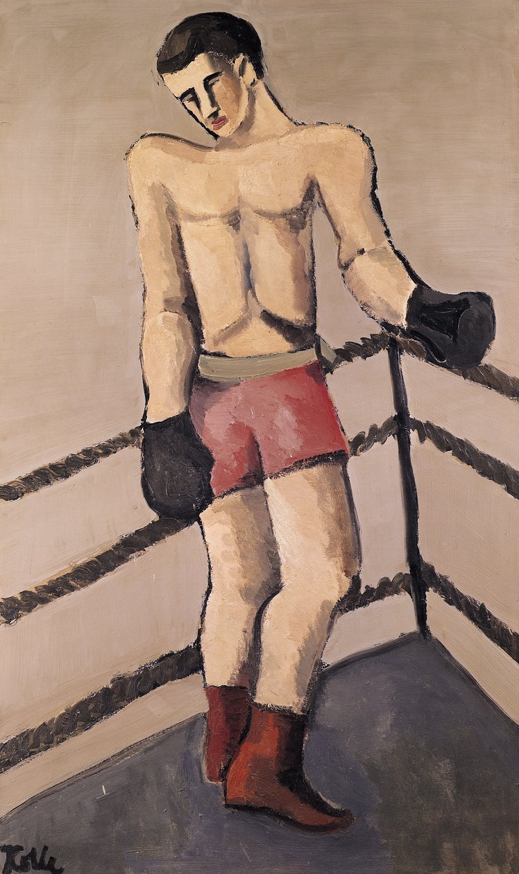Der große Boxer von Helmut Kolle