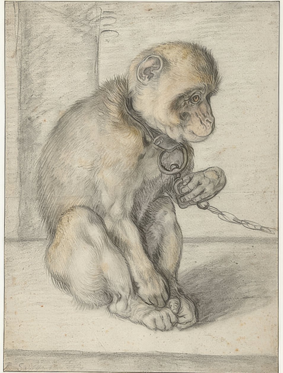 Ein sitzender Affe an einer Kette von Hendrik Goltzius