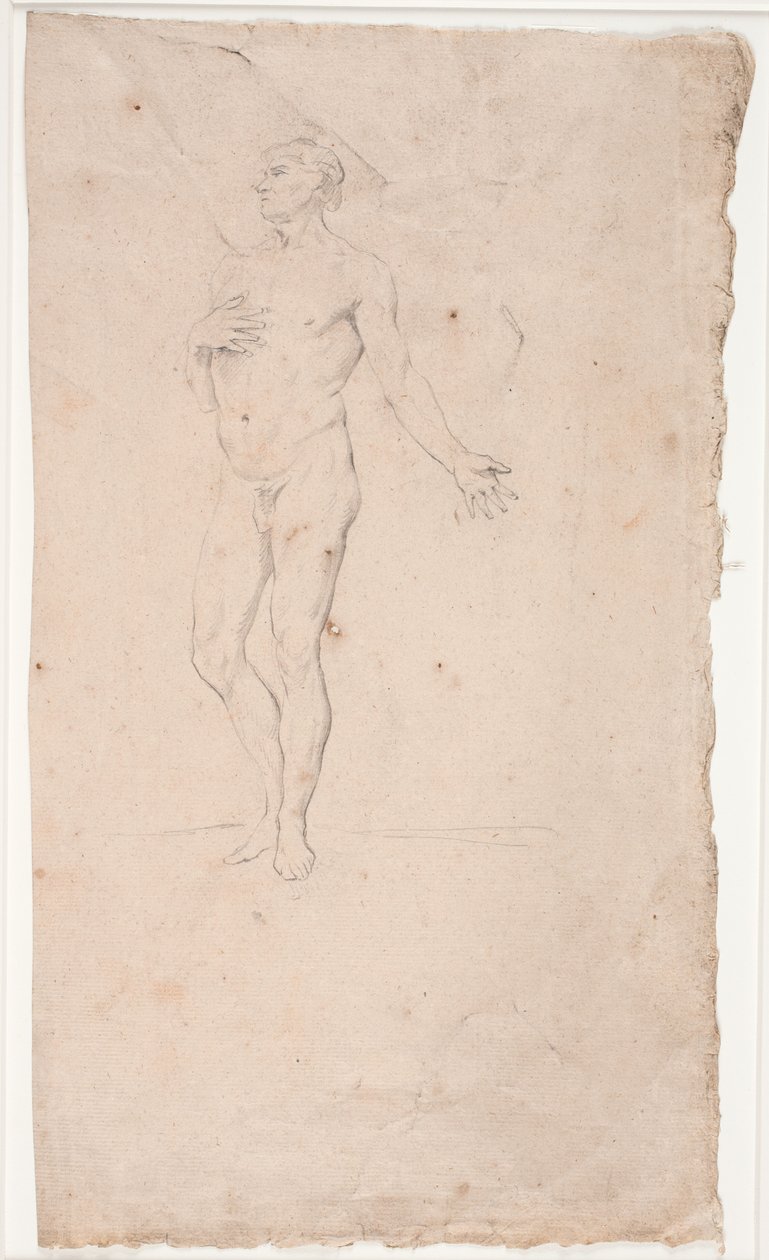 Männliches Modellstudie, stehend von Hendrik Krock