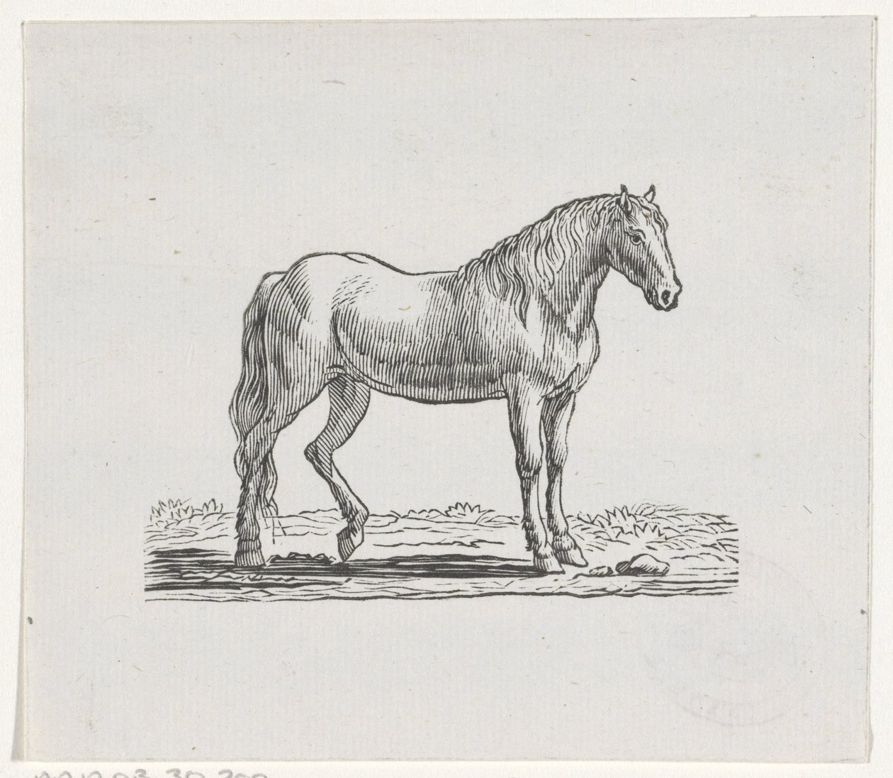 Pferd von Hendrik Numan