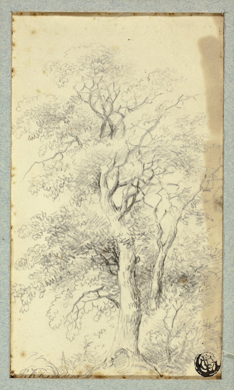 Baum von Hendrik Pieter Koekkoek