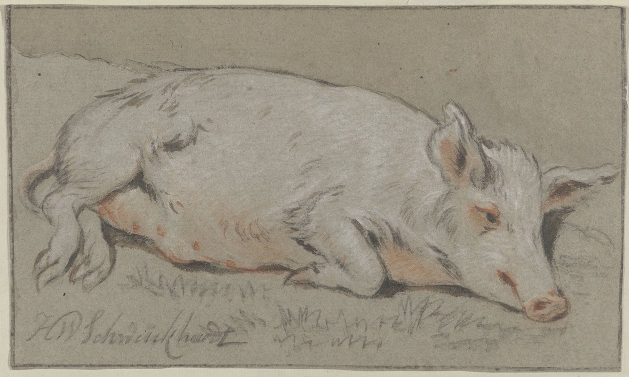 Liegendes Schwein von Hendrik Willem Schweickhardt (signed by artist)