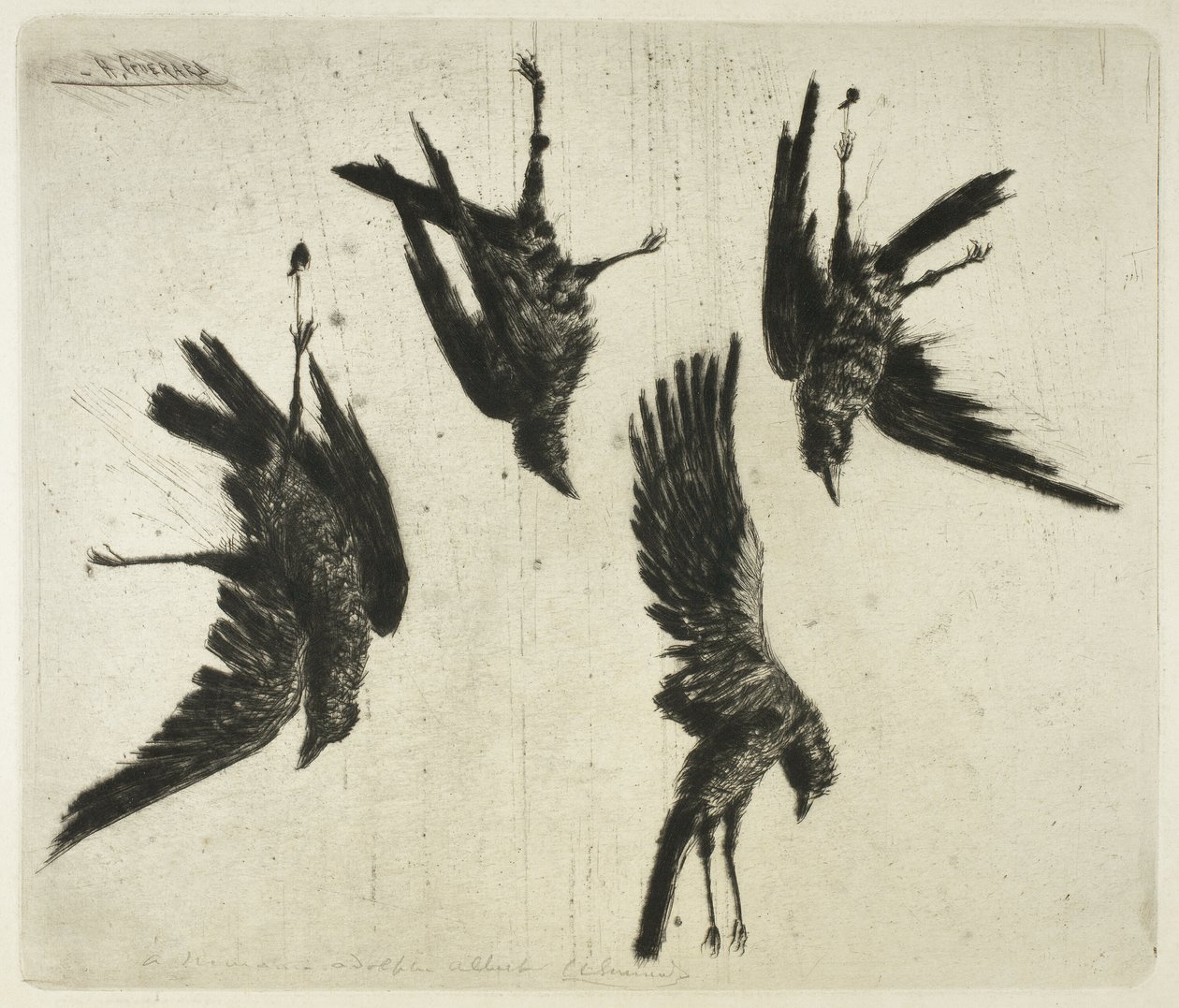 Die vier toten Raben von Henri Charles Guérard