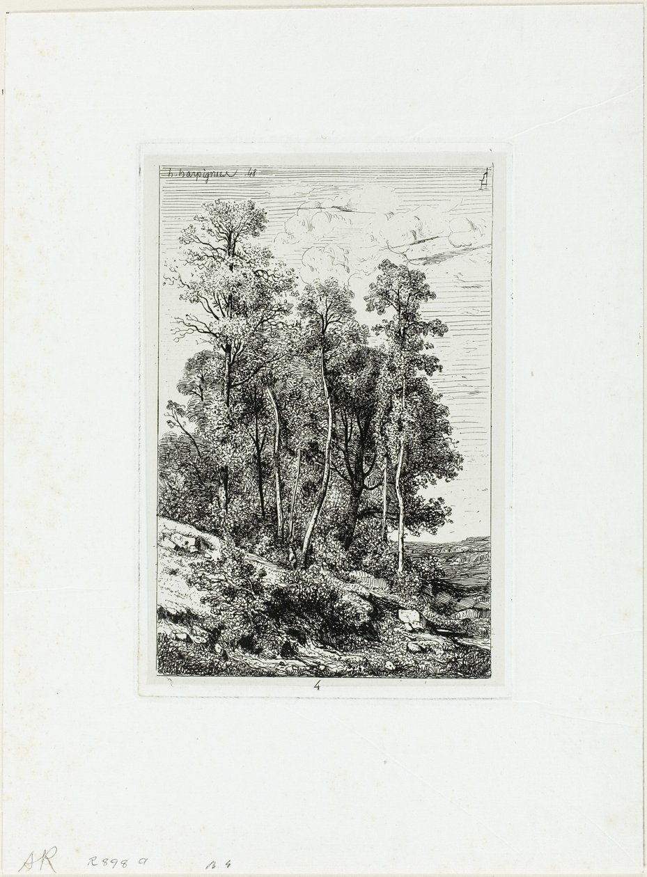 Birken und Eichen von Henri Joseph Harpignies