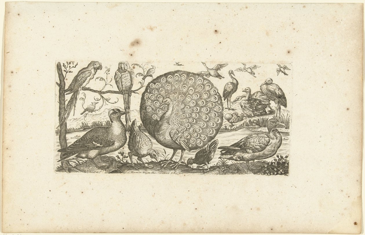 Achtzehn Vögel von Henri Le Roy