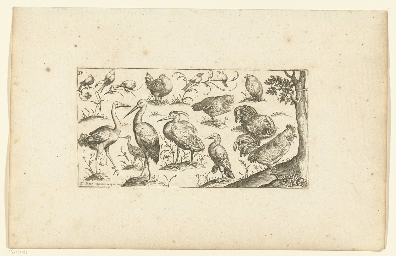 Fünfzehn Vögel von Henri Le Roy
