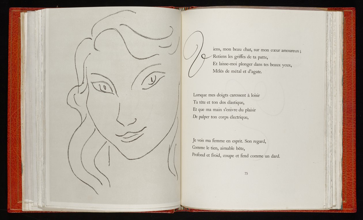 Die Blumen des Bösen von Henri Matisse