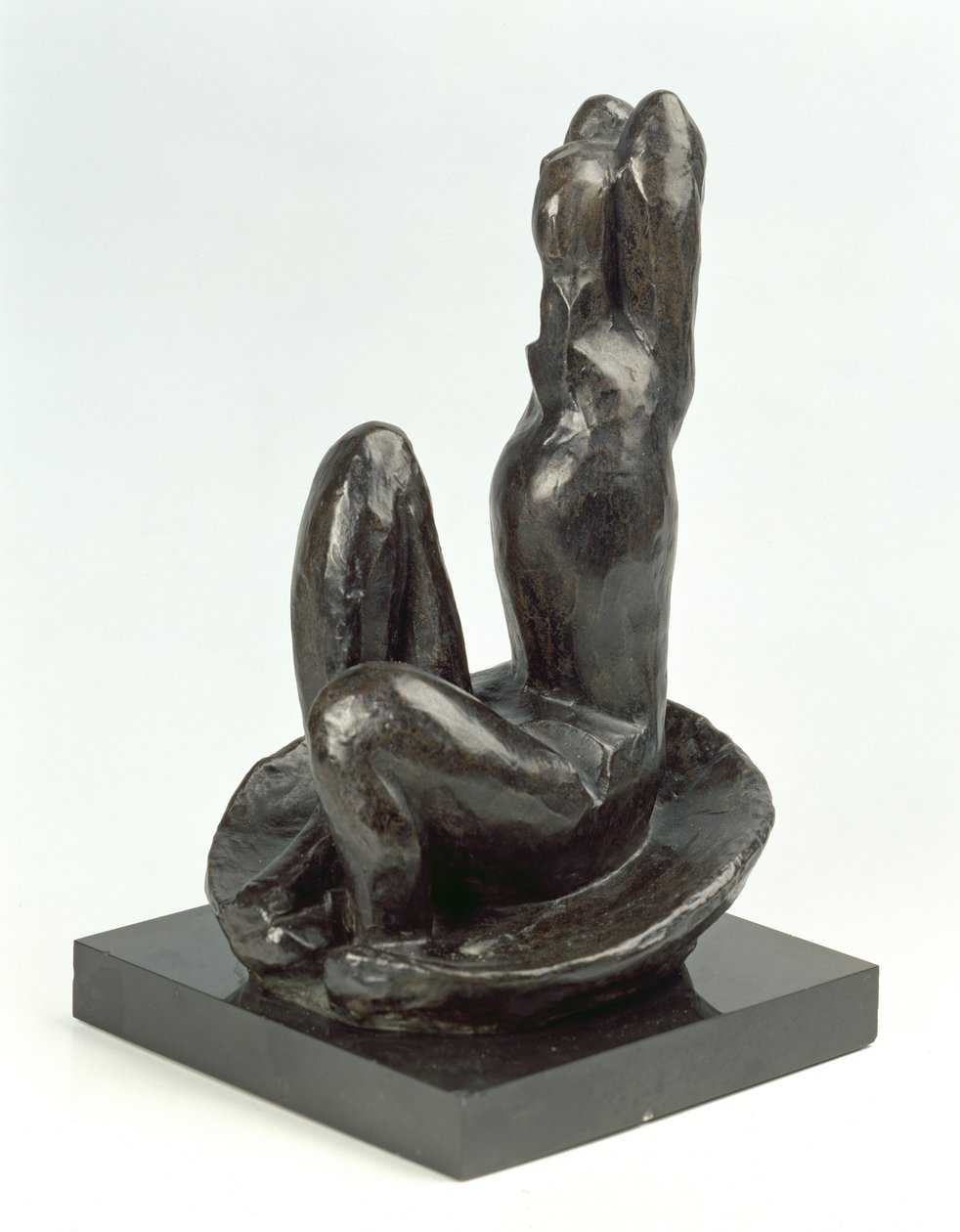 Venus in einer Muschel I von Henri Matisse