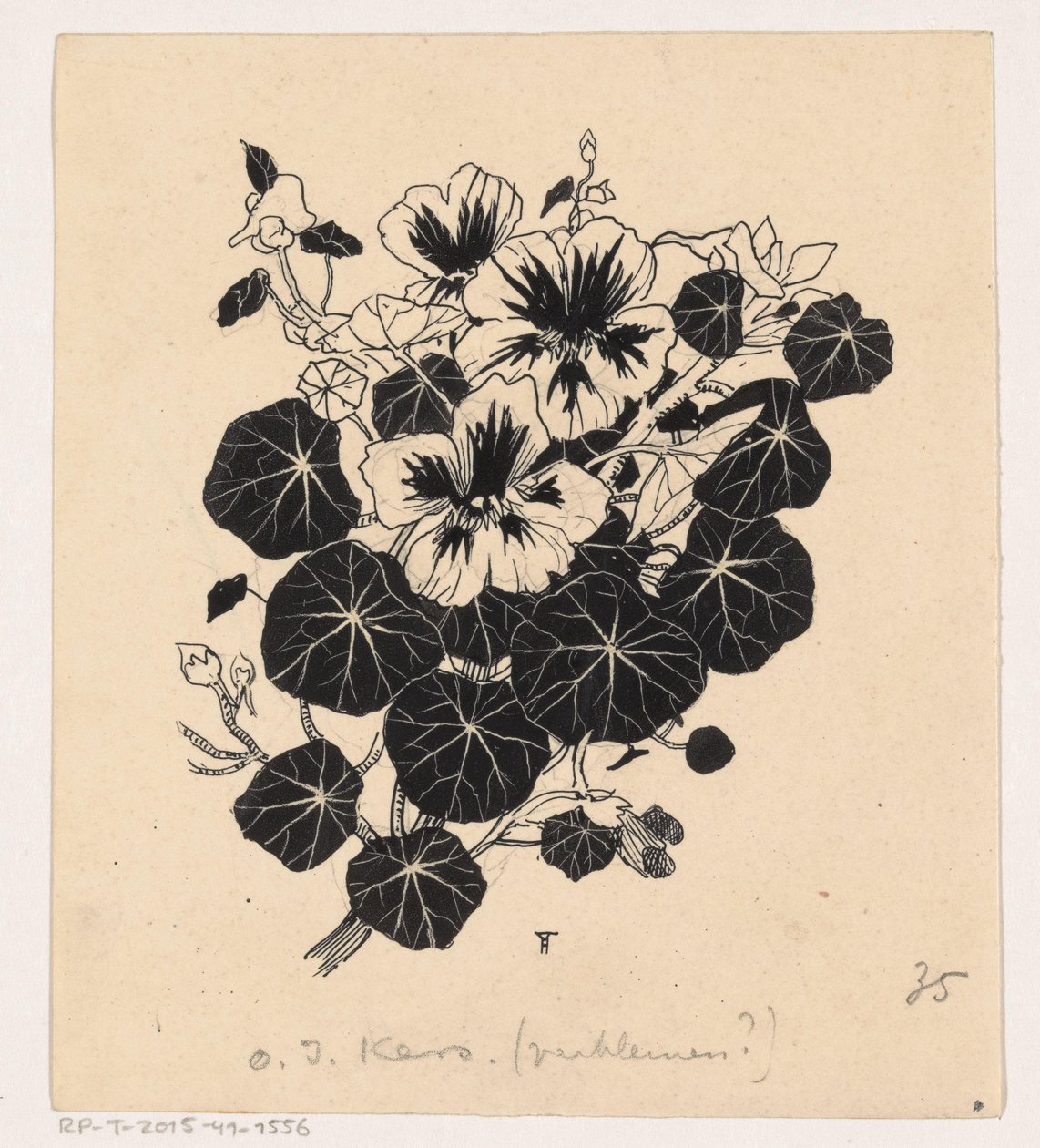 Kapuzinerkresse von Henri Verstijnen (signed by artist)