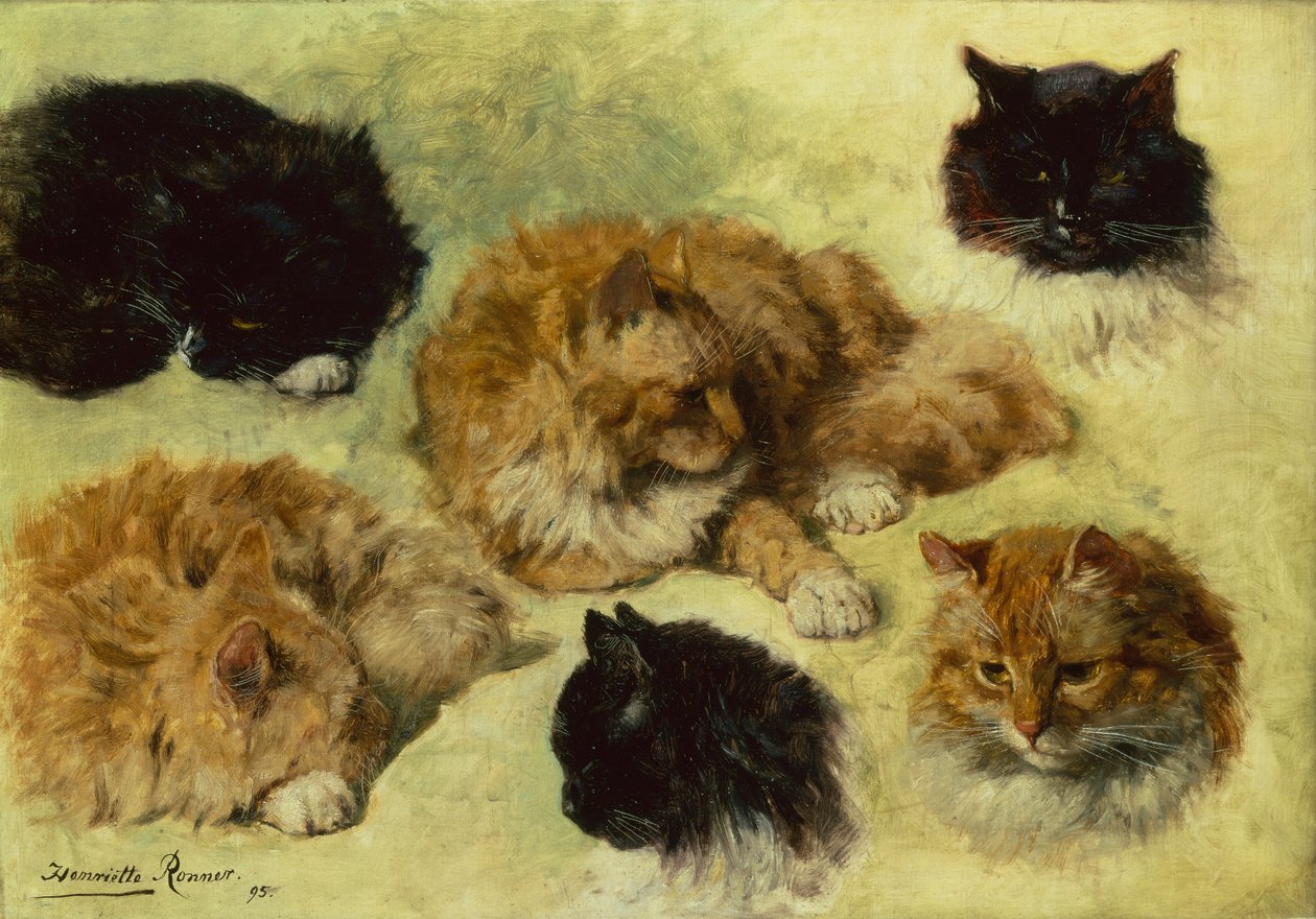 Studien von Katzen von Henriëtte Ronner Knip