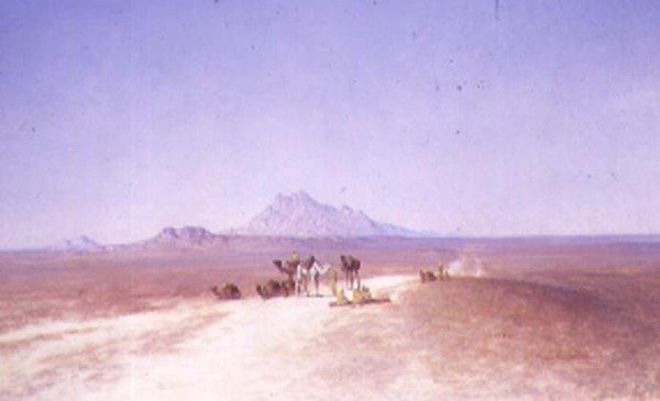 Wüstenlandschaft von Henrik Ankarcrona