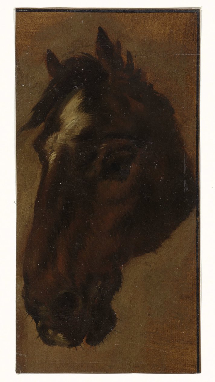 Pferdekopf von Henriëtte Ronner