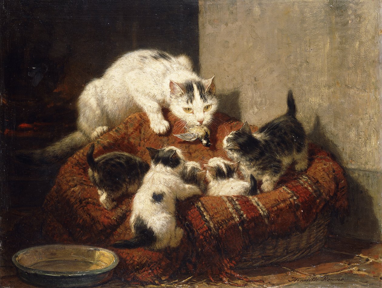 Ein gefiederter Geschenk von Henriëtte Ronner Knip