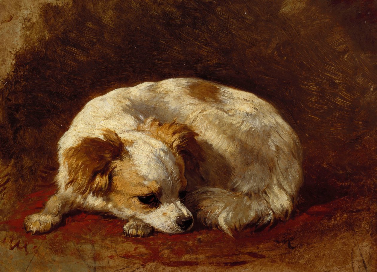 Ein Papillon von Henriëtte Ronner Knip