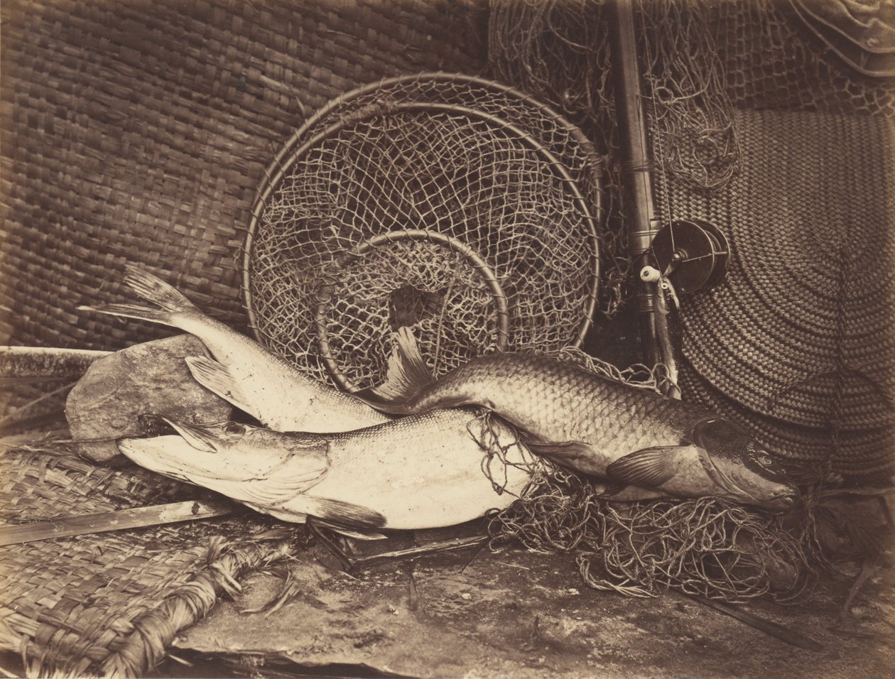 Stillleben mit Karpfen und Hecht von Henry Bailey