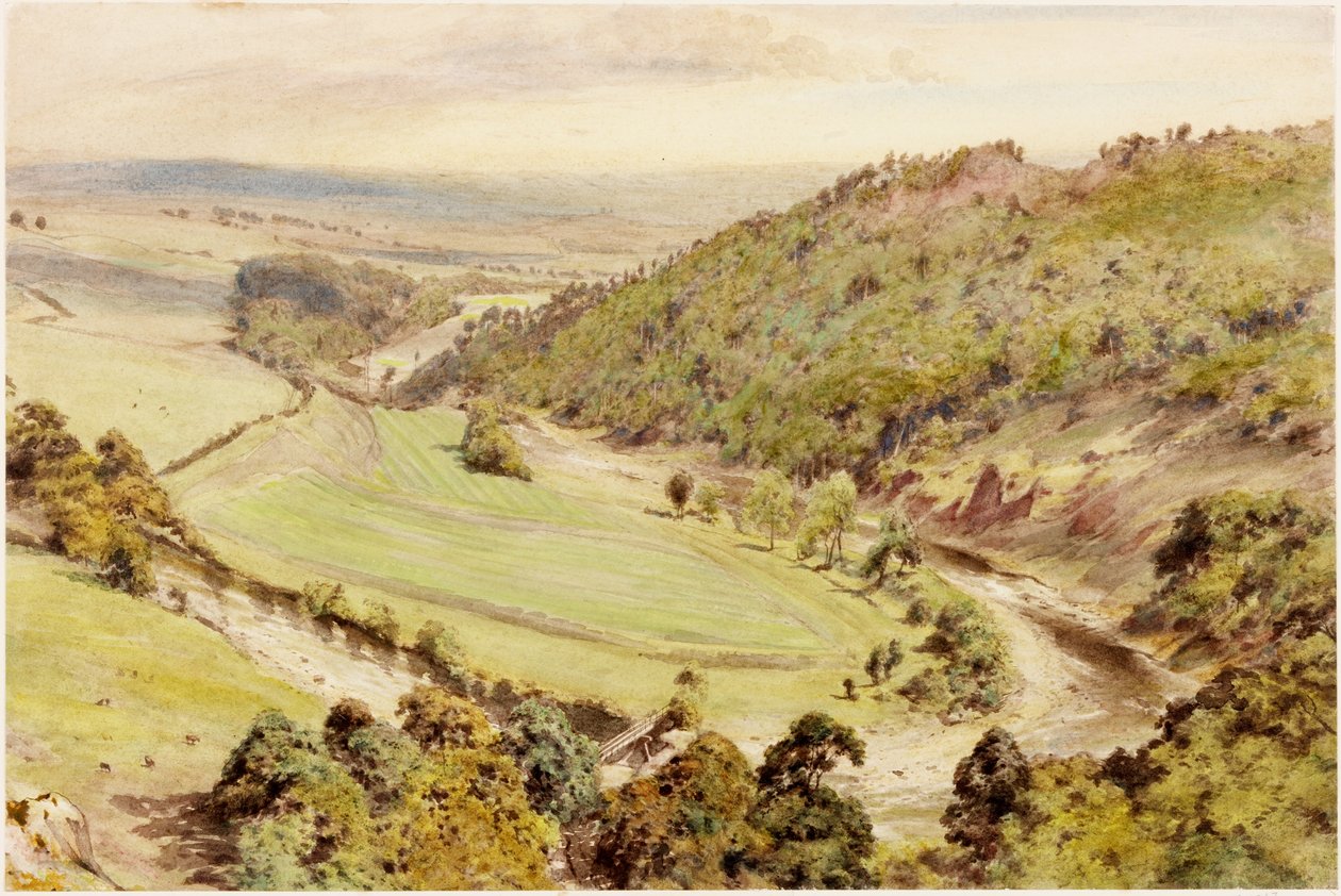 Birdoswald von Henry Burdon Richardson