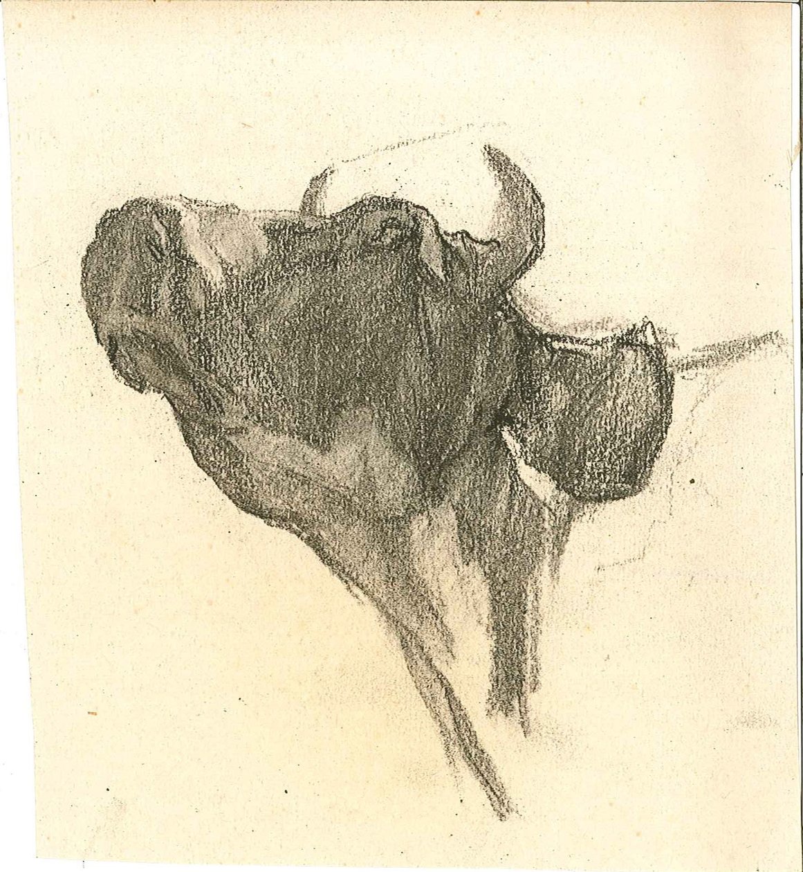 Kuh von Henry Luyten