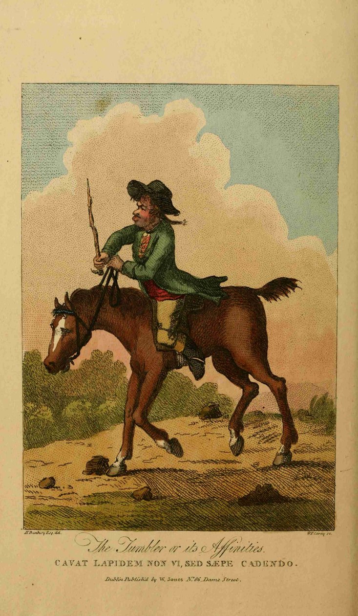 Annalen der Reitkunst von Henry William