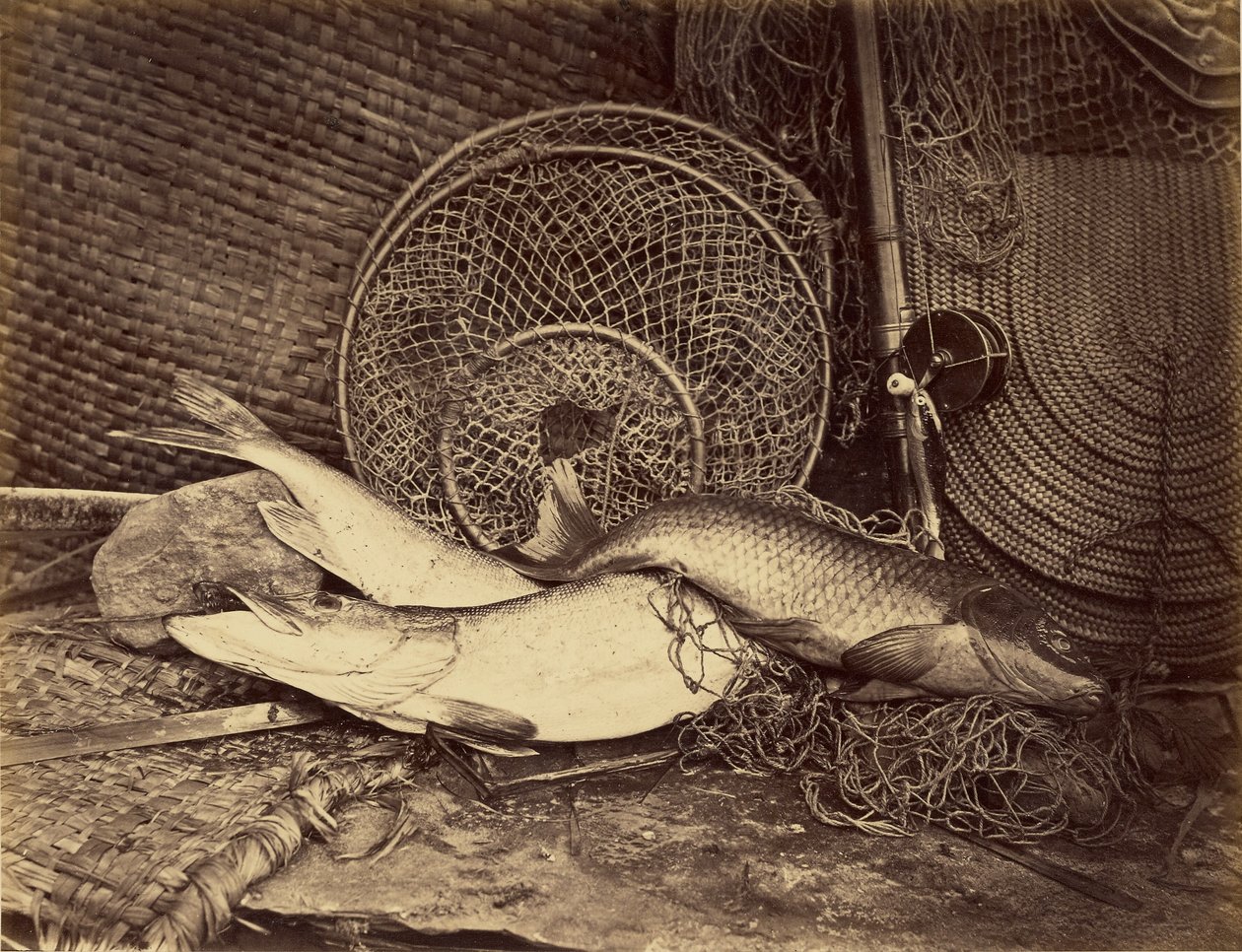 Stillleben mit Karpfen und Hecht von Henry Bailey