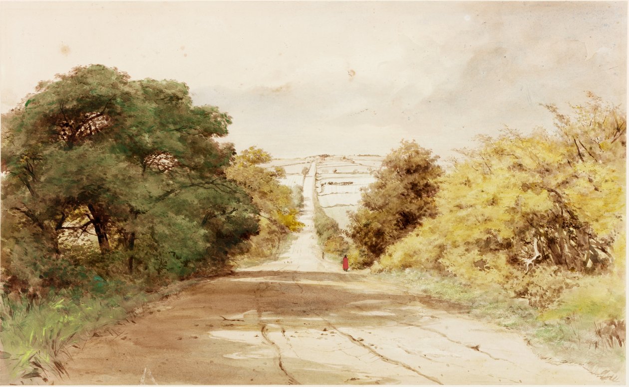 Harlow Hill von Henry Burdon Richardson
