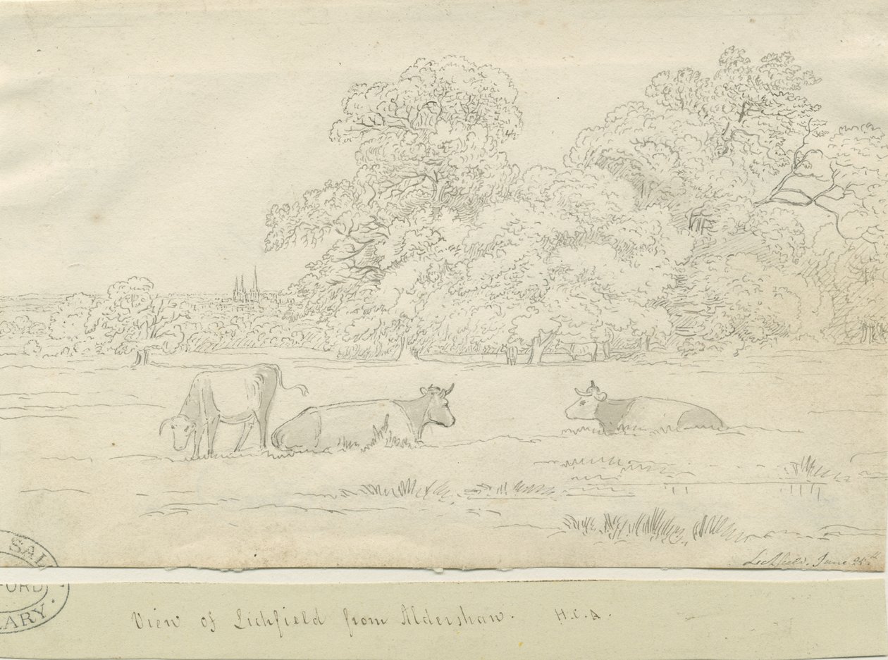 Lichfield - Ansicht von Aldershaw von Henry Curzon Allport