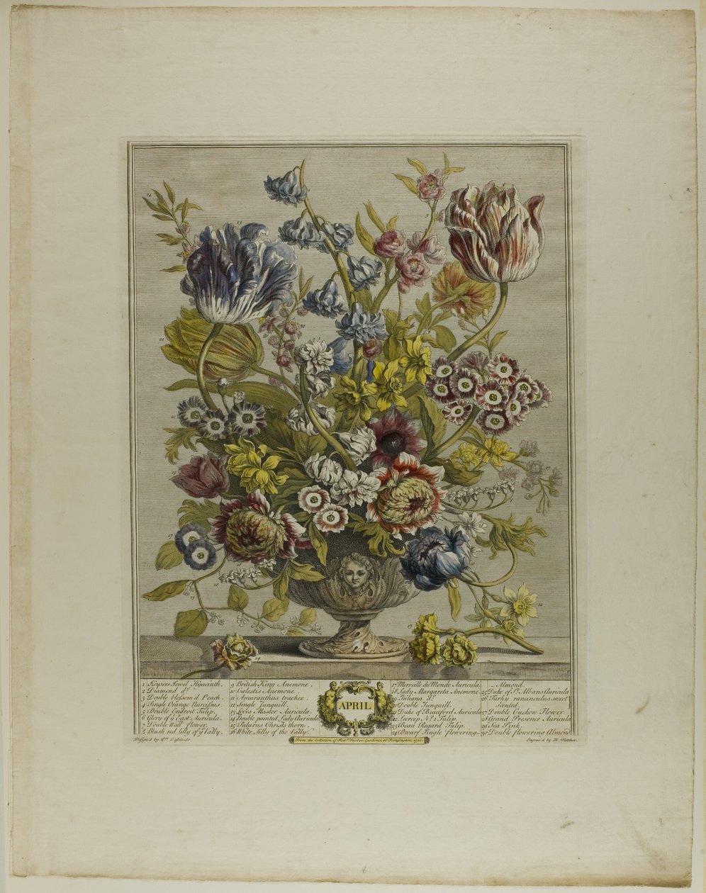 April, aus Zwölf Monate der Blumen von Henry Fletcher