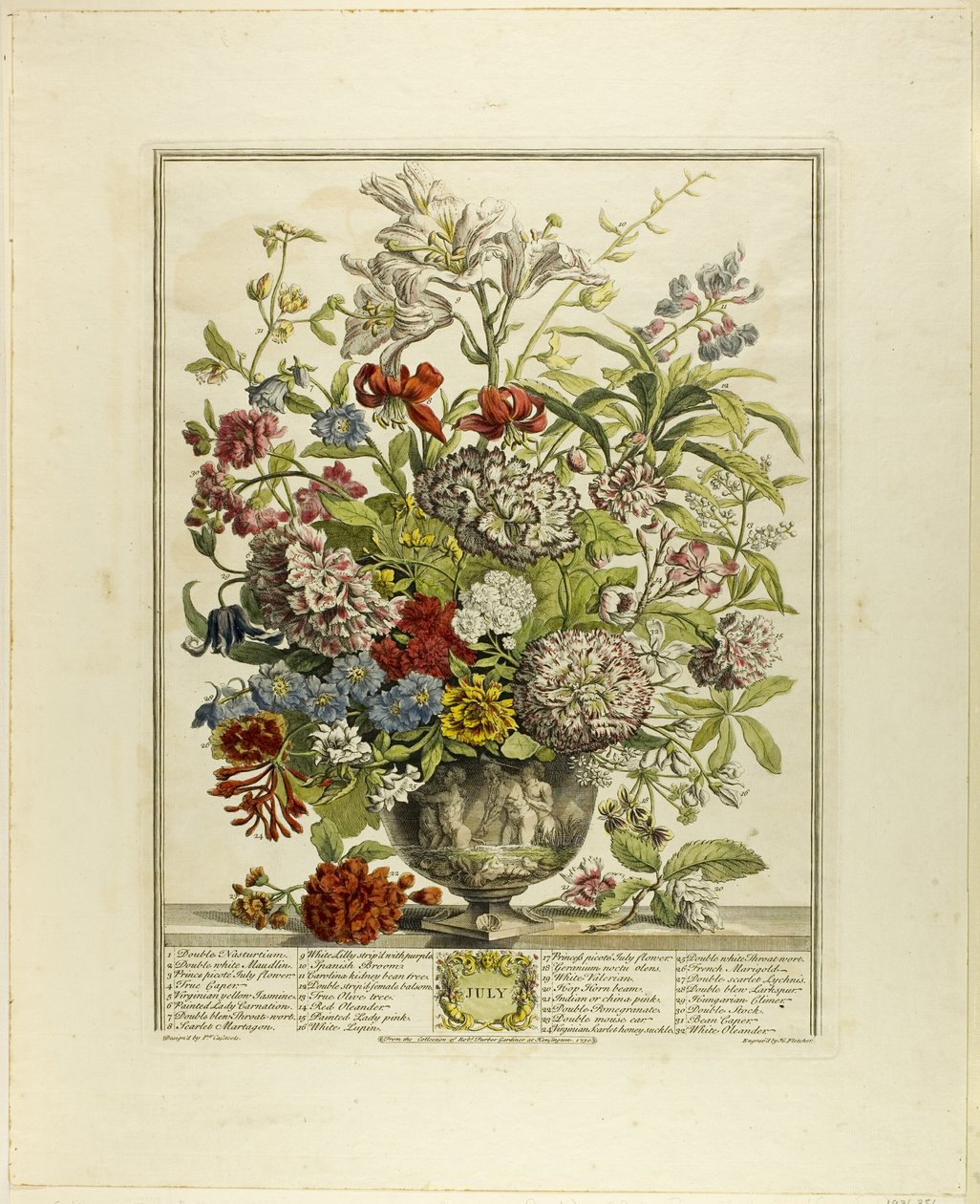 Juli, aus Zwölf Monate der Blumen von Henry Fletcher