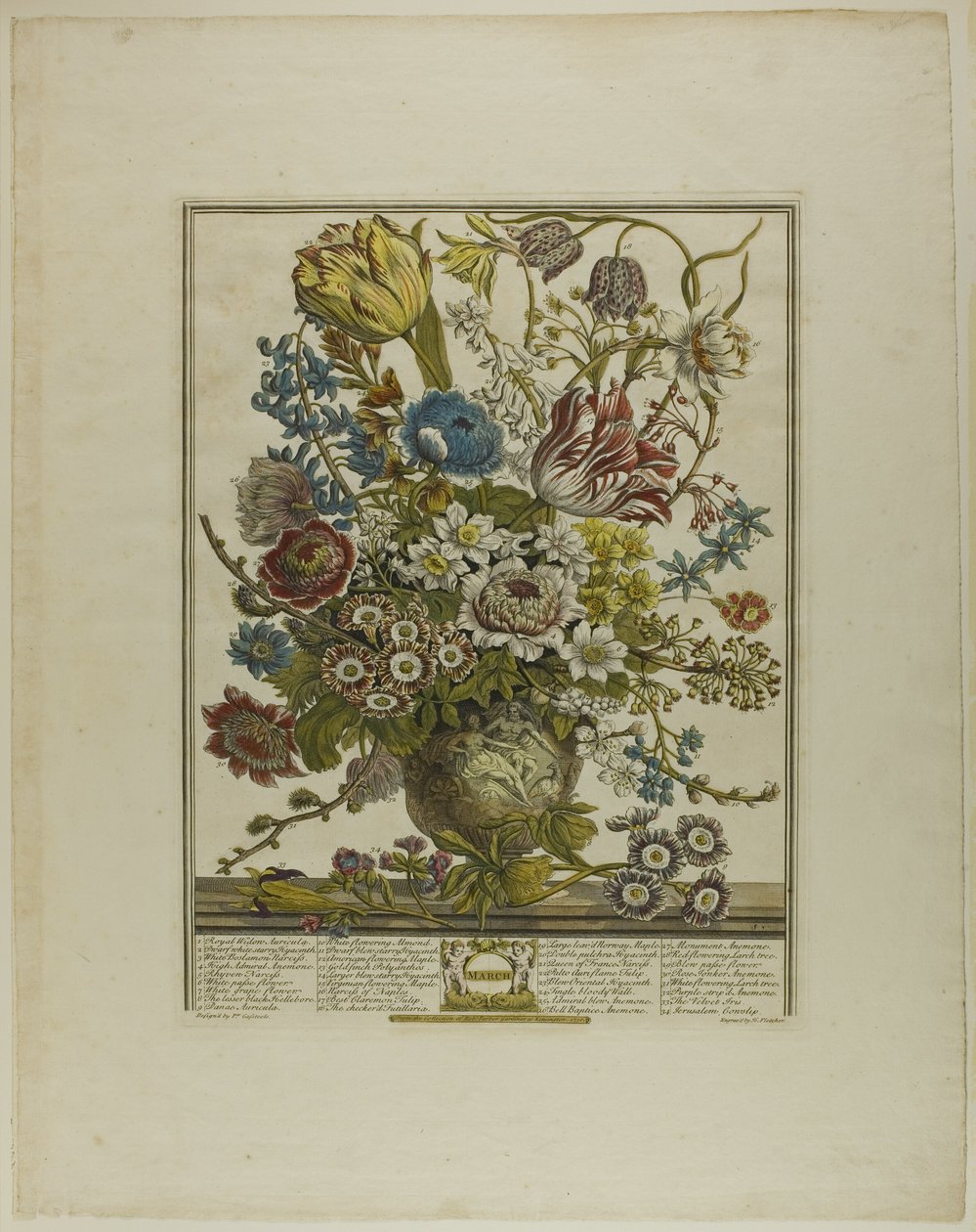 März, aus Zwölf Monate der Blumen von Henry Fletcher