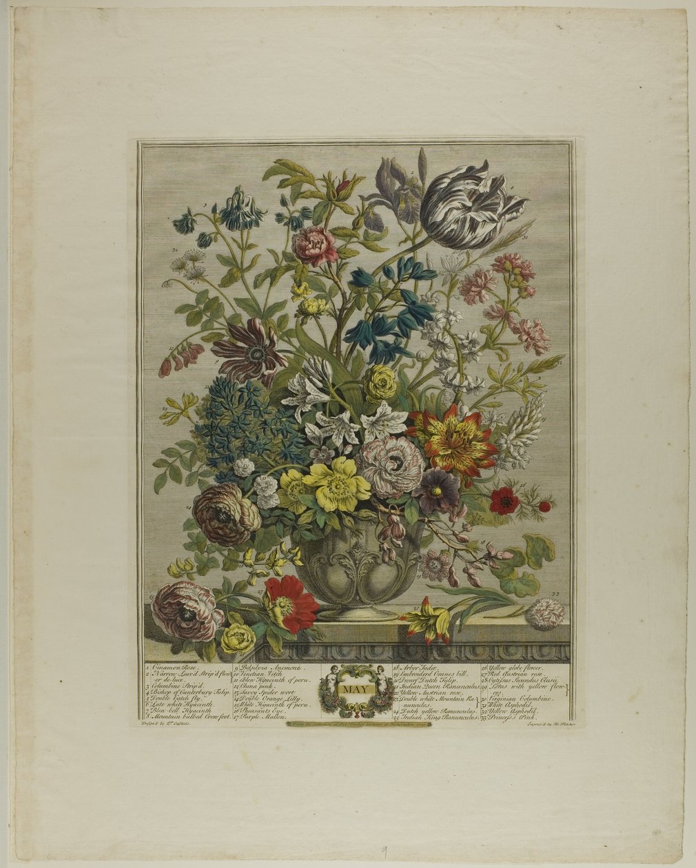 Mai, aus Zwölf Monate der Blumen von Henry Fletcher