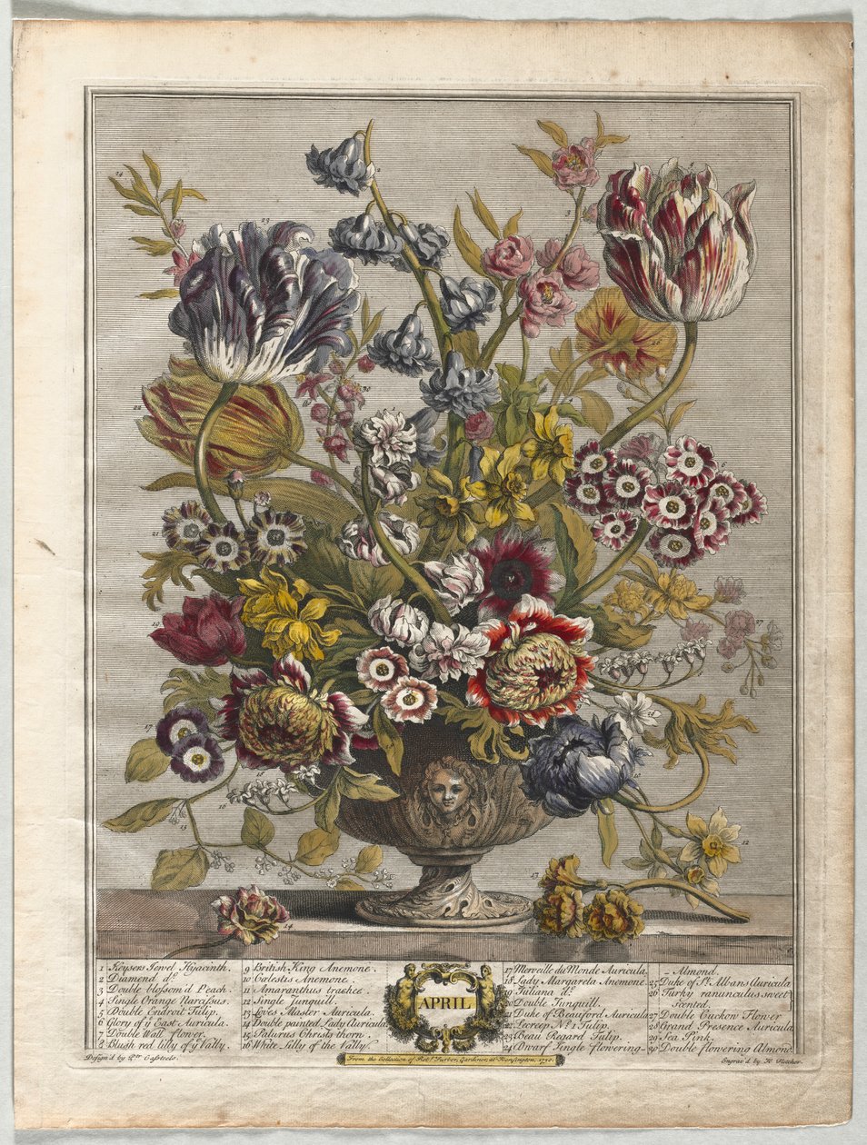 Zwölf Monate der Blumen: April, 1730 von Henry Fletcher