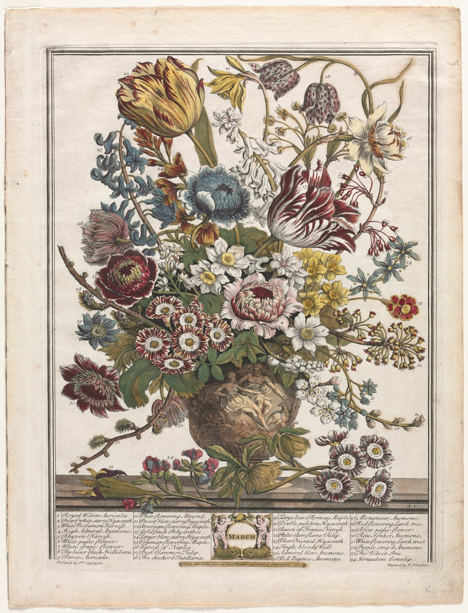 Zwölf Monate der Blumen: März, 1730 von Henry Fletcher