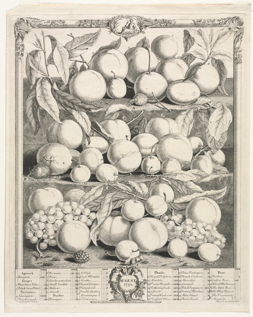 Zwölf Monate der Früchte: August von Henry Fletcher
