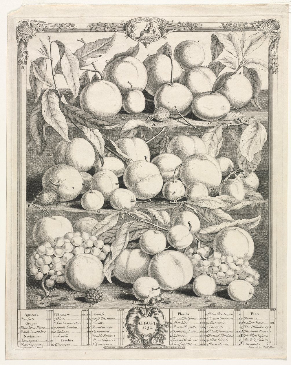 Zwölf Monate Obst: August, 1732 von Henry Fletcher