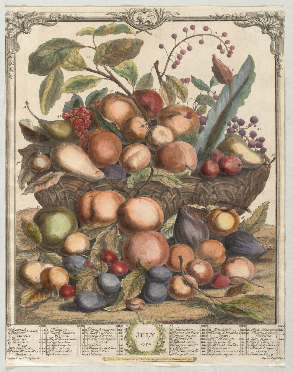 Zwölf Monate Obst: Juli von Henry Fletcher
