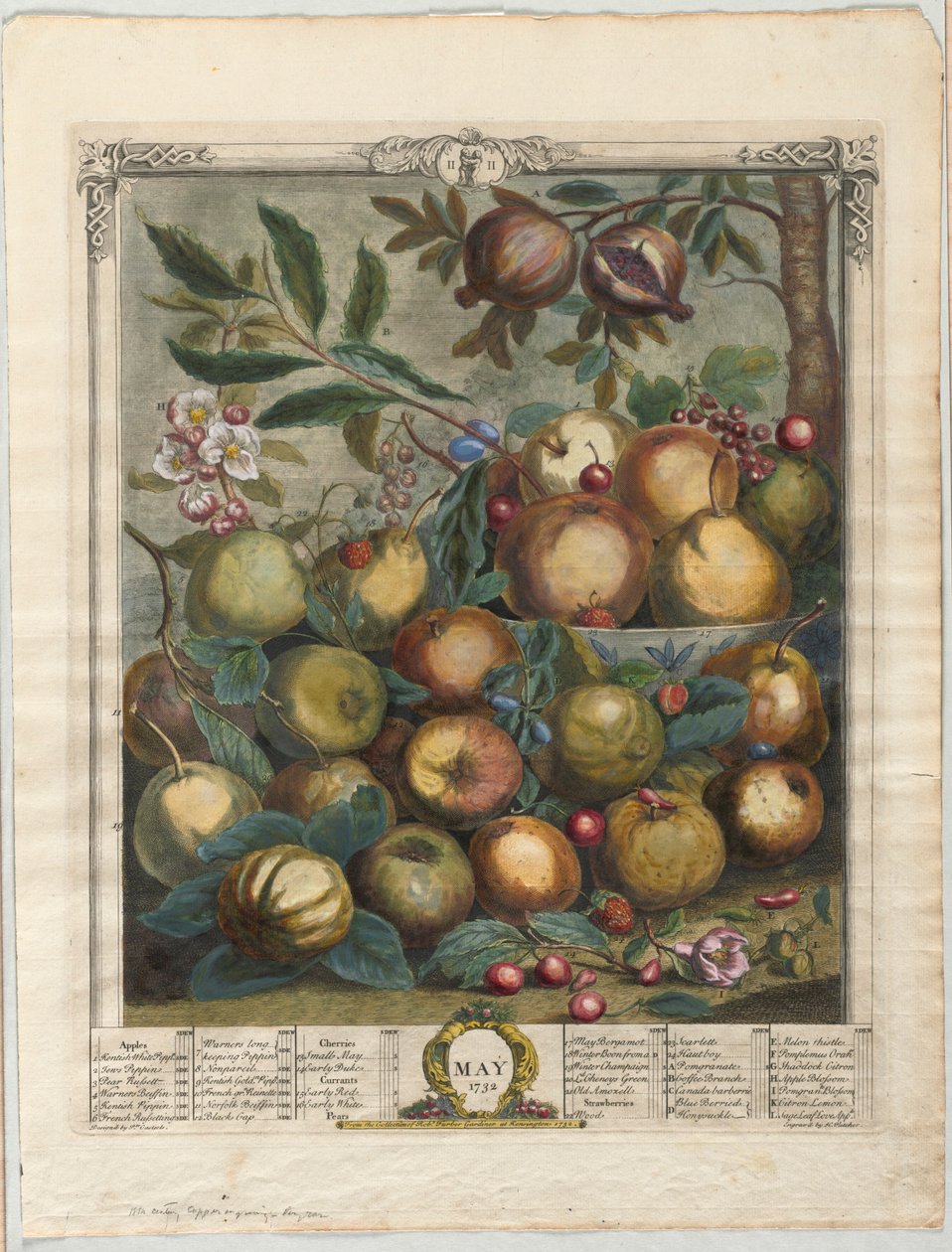 Zwölf Monate Obst: Mai von Henry Fletcher