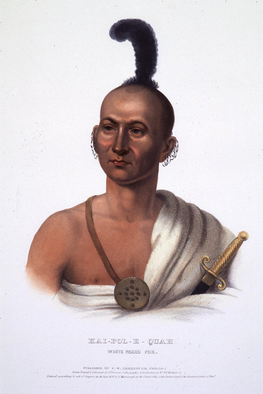 Kai-Pol-E-Quah, Weißnasenfuchs von Henry Inman