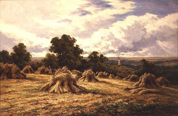 Geerntetes Feld von Henry Parker