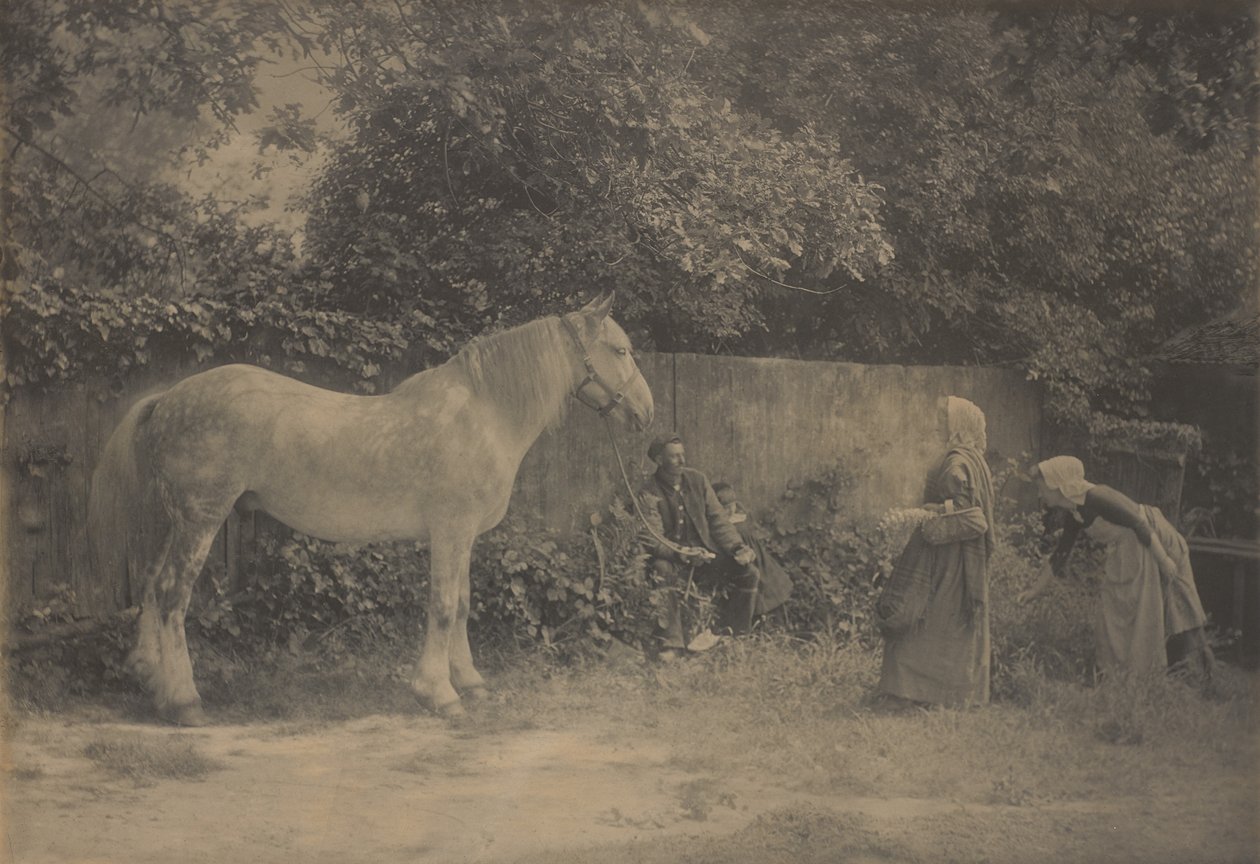 Alter Apfelschimmel von Henry Peach Robinson