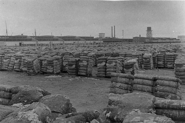 Moody Compress, Galveston von Henry Stark